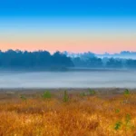 Danville-Kentucky-Relocation-Guide